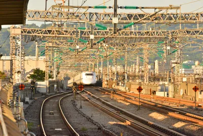 DSC_3776 (Large).JPG